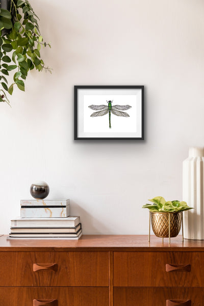 Dragonfly Print