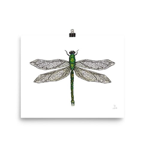 Dragonfly Print