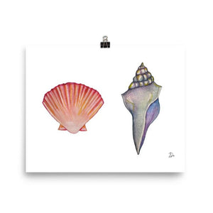 Seashells Print